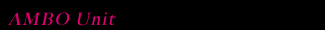 ANBO Unit
